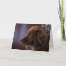 Search for nova cards Puppy
