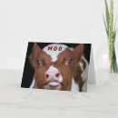 Search for cattle christmas cards Cow