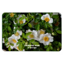 Search for cherokee magnets Nature
