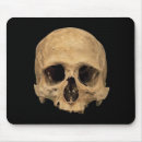 Search for human head electronics Halloween