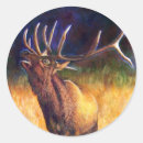 Search for wild things stickers Nature