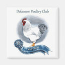 Search for poultry magnets Chicken