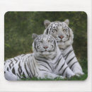 Search for tiger mousepads Big