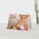 Search for students photography Cat