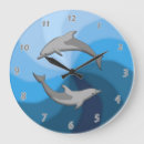 Search for dolphin clocks Marine life