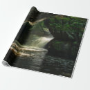 Search for waterfall wrapping paper Vintage