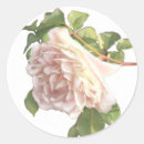 Search for rose bush stickers Roses