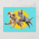 Search for pedro postcards Pets