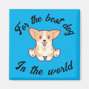 Search for vets magnets Dog