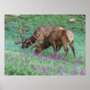Search for cathy posters Colorado