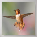 Search for note card posters Photography