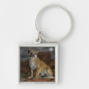 Search for cougar key rings Nature