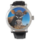 Search for dairy cow watches Animal