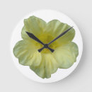 Search for nasturtiums art Colourful
