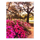 Search for azalea art Georgia