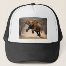 Search for hops hats Funny