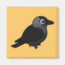 Search for jackdaws Cute