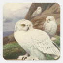 Search for vintage owl stickers Cute