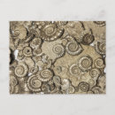 Search for ammonites Spiral