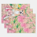 Search for chihuahua wrapping paper Cute