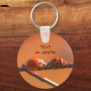 Search for ladybug key rings Nature