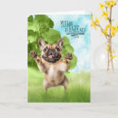 Search for in french congratulations cards Dogs