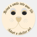 Search for shelter cats stickers Pets