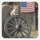 Search for old stickers Cat