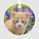 Search for ginger cat christmas tree decorations Pet
