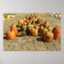 Search for pumpkins at posters Outdoors