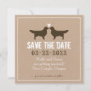Search for golden retriever invitations Dog