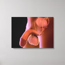 Search for penis gifts Excretion