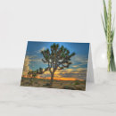 Search for preserve cards Usa