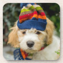 Search for scarf coasters Pet