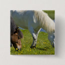 Search for pasture badges Rural