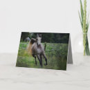 Search for horse note cards Blank