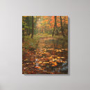 Search for appalachia art Appalachian mountains