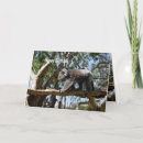 Search for at at walker cards Bear