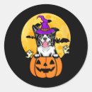 Search for witchy woman stickers Trick or treat