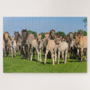 Search for wild horse puzzles Animal