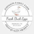 Search for white duck Farm