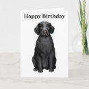 Search for labrador birthday cards Pet