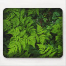 Search for floor mousepads Fern