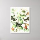 Search for garden canvas prints Butterflies