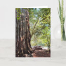 Search for picnic cards Forest