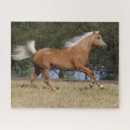 Search for palomino horse puzzles Bob langrish