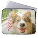 Search for welsh electronics Pembroke welsh corgi