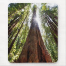 Search for tom mousepads Forest