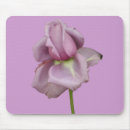Search for rosebud electronics Roses