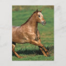 Search for grassy postcards Bob langrish